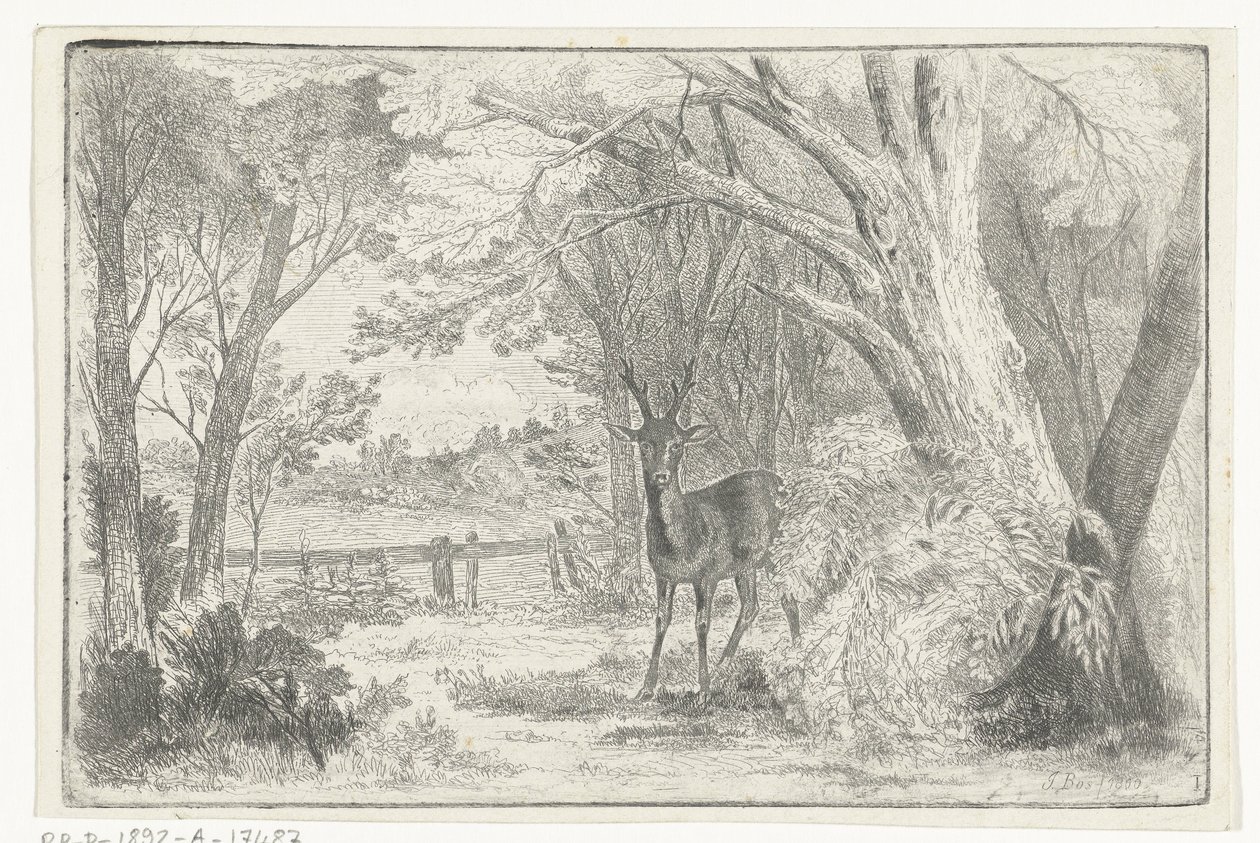 Park landskap med rådjur av Jan Bos Wz.