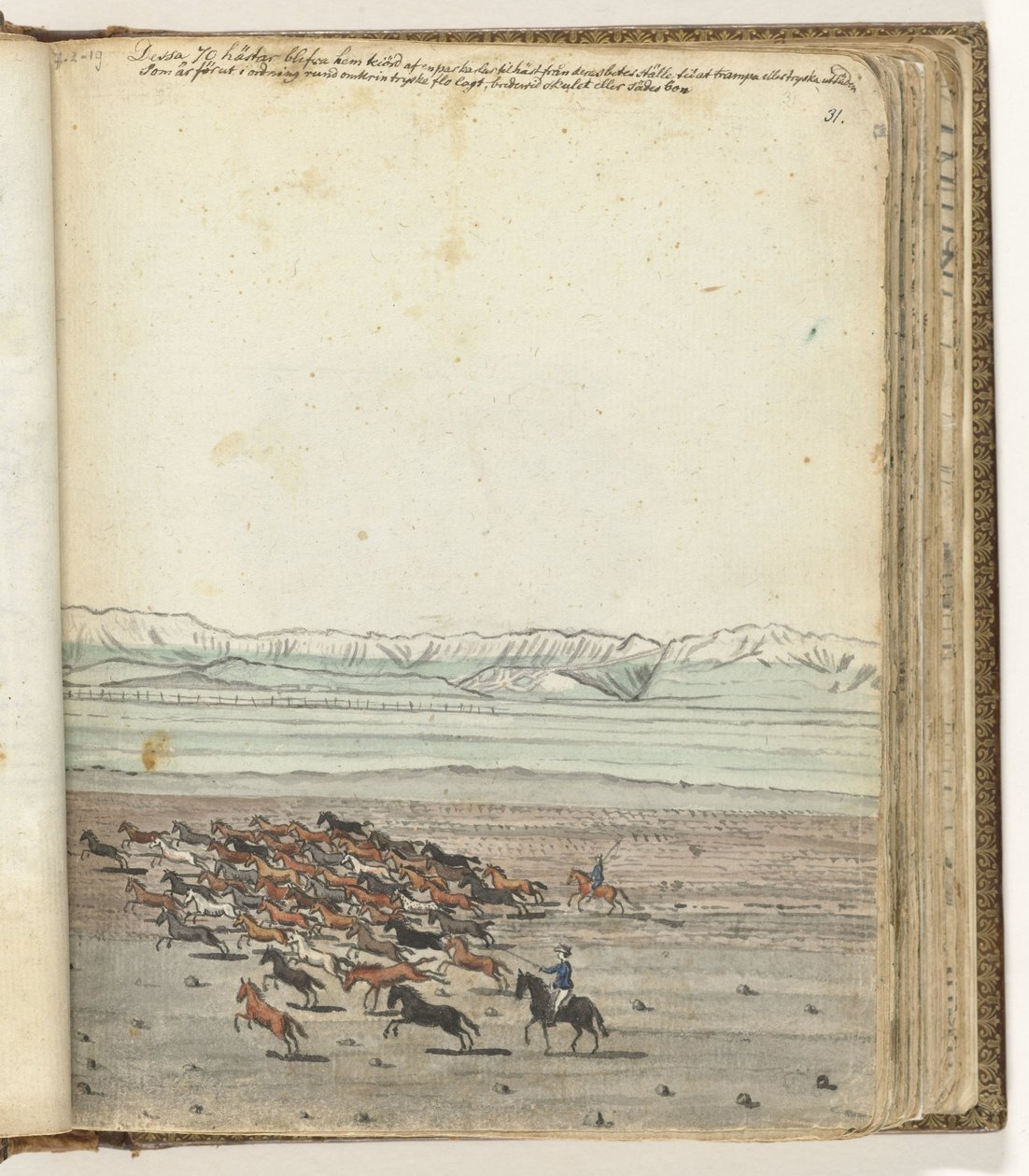 Flock hästar av Jan Brandes