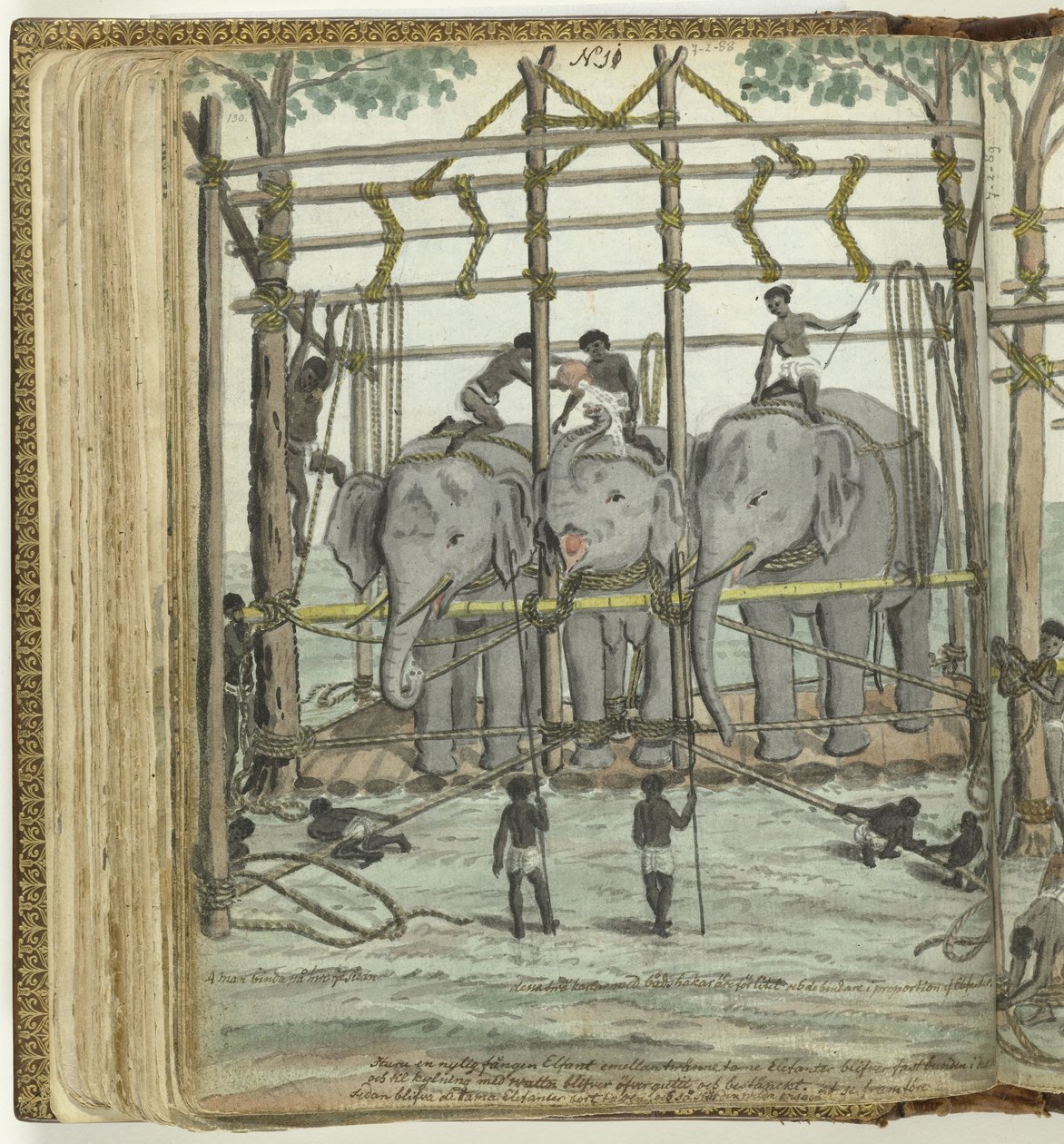 Tämja en elefant av Jan Brandes
