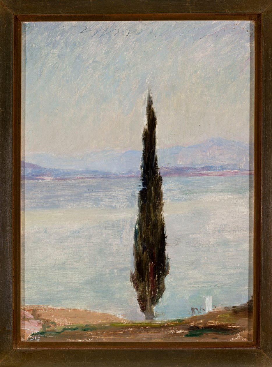 Cypress. Från en resa till Konstantinopel av Jan Ciągliński