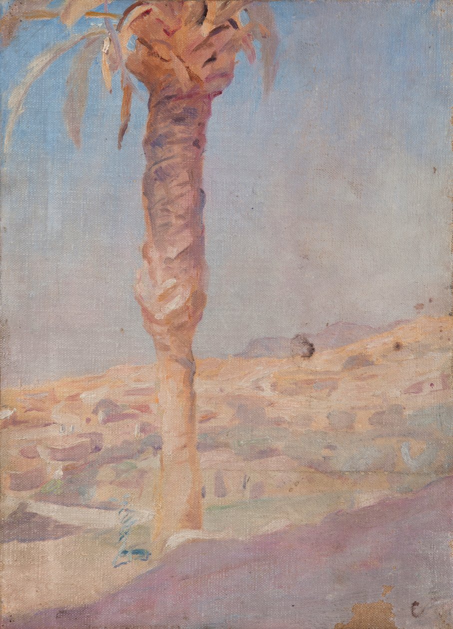 Spanien (Crevillente) av Jan Ciągliński