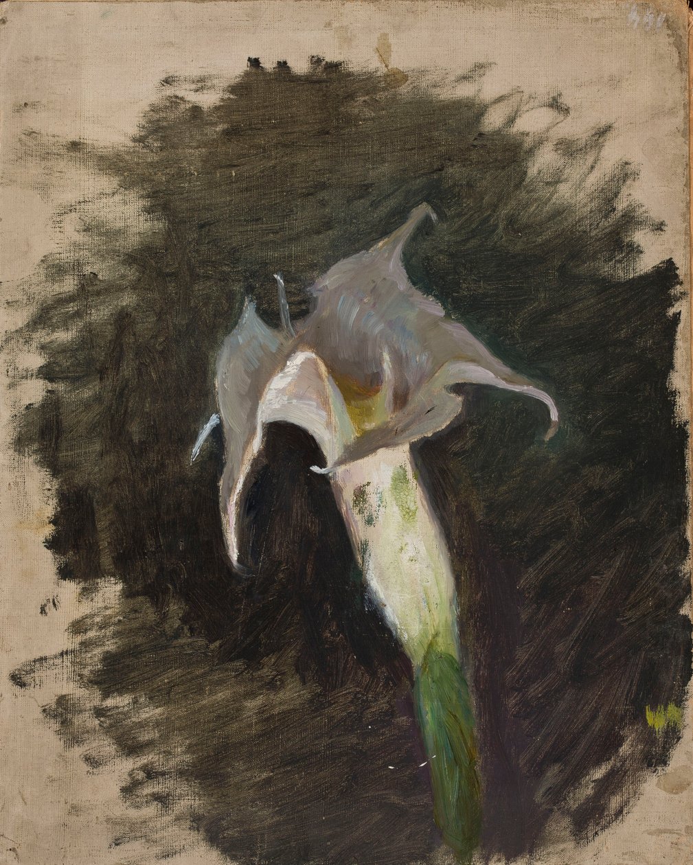 Blomma av Jan Ciągliński