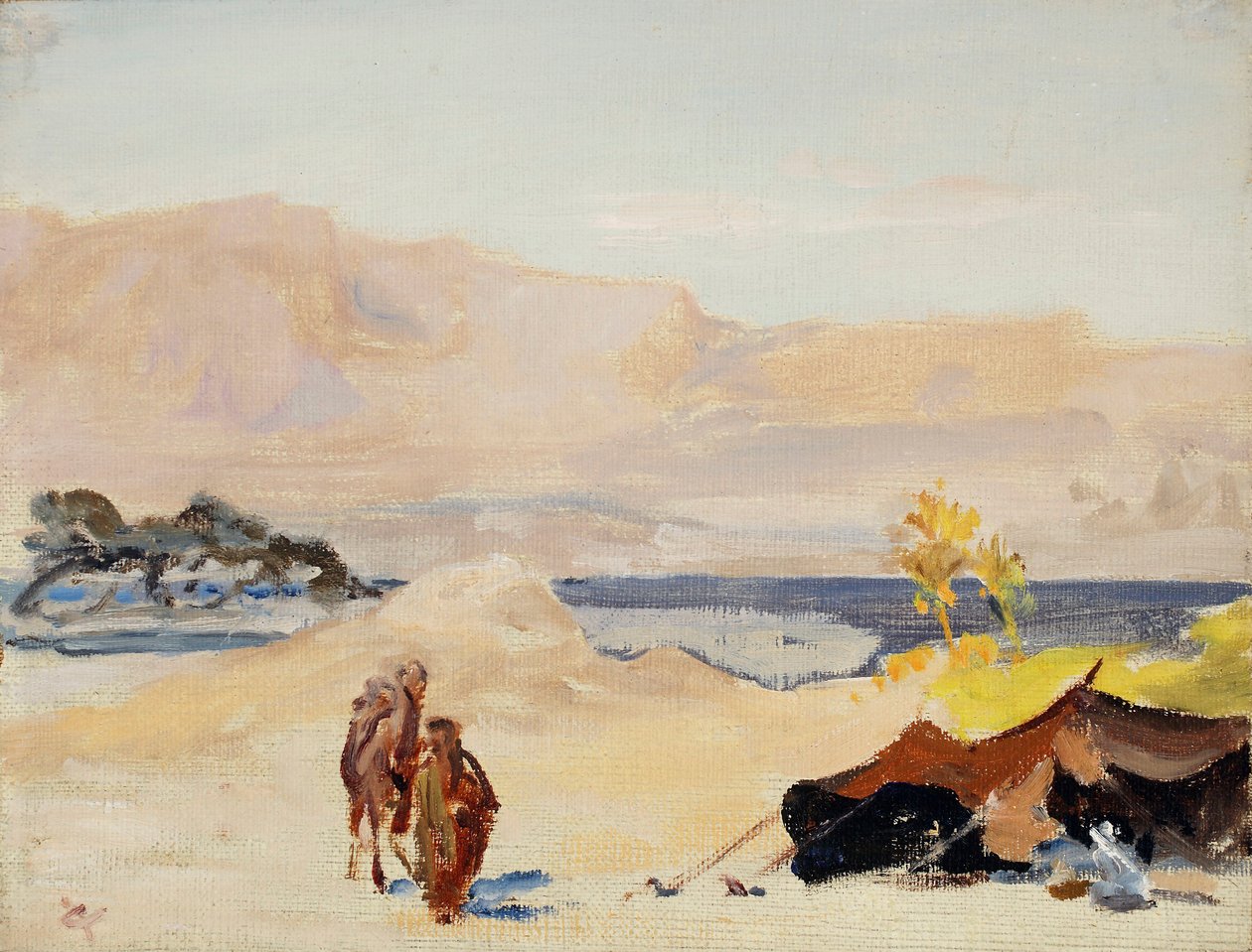 Döda havet. Från en resa till Palestina av Jan Ciągliński