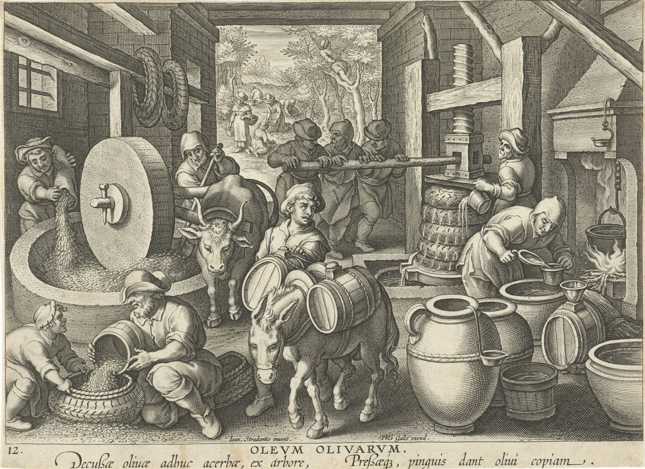 olivpress Olevm Olivarvm (titel på objekt) Nya uppfinningar och upptäckter (serietitel) Nova Reperta (serietitel) av Jan Collaert (II) (attributed to)