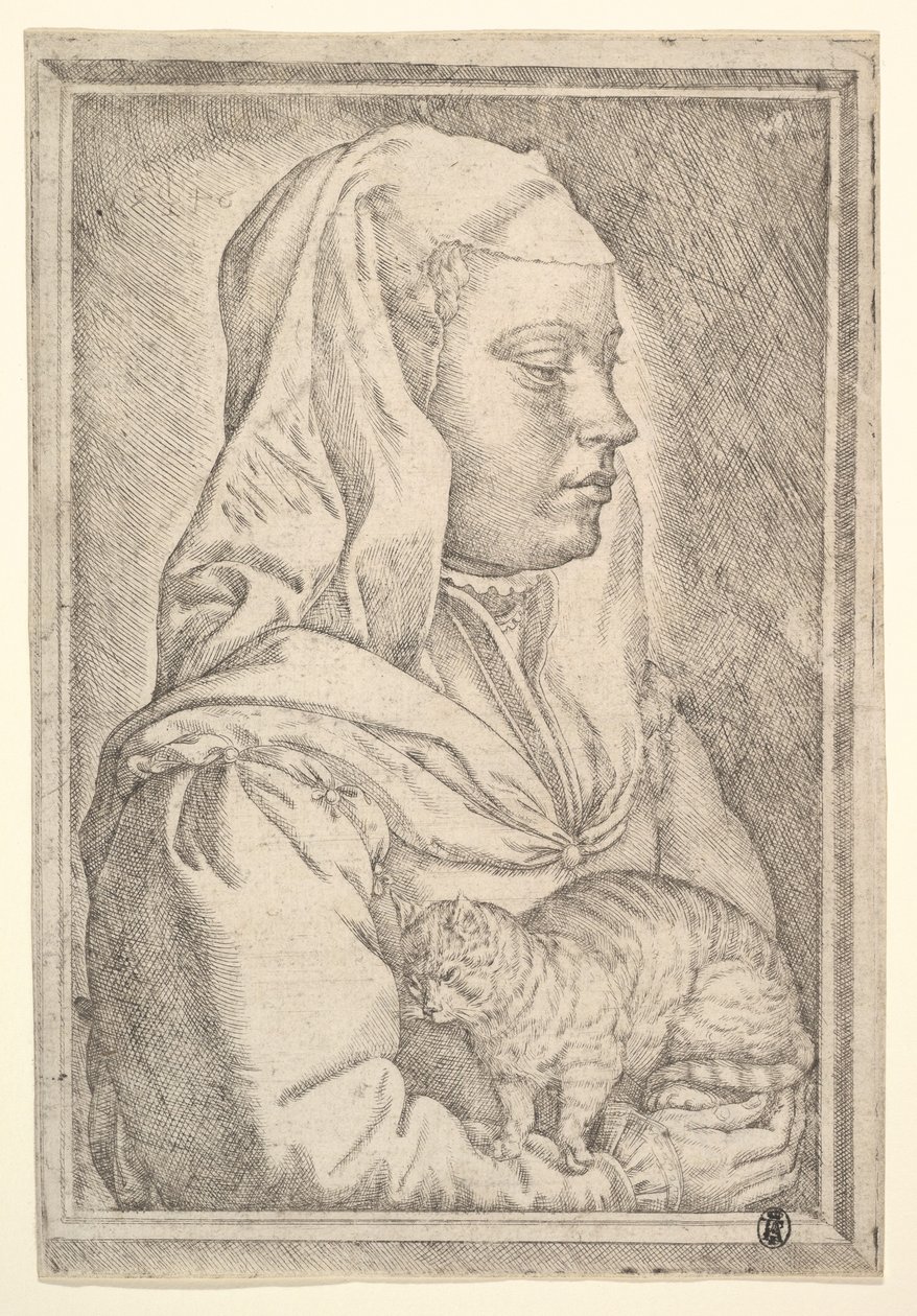 Flicka med en katt, 1546. av Jan Cornelisz Vermeyen
