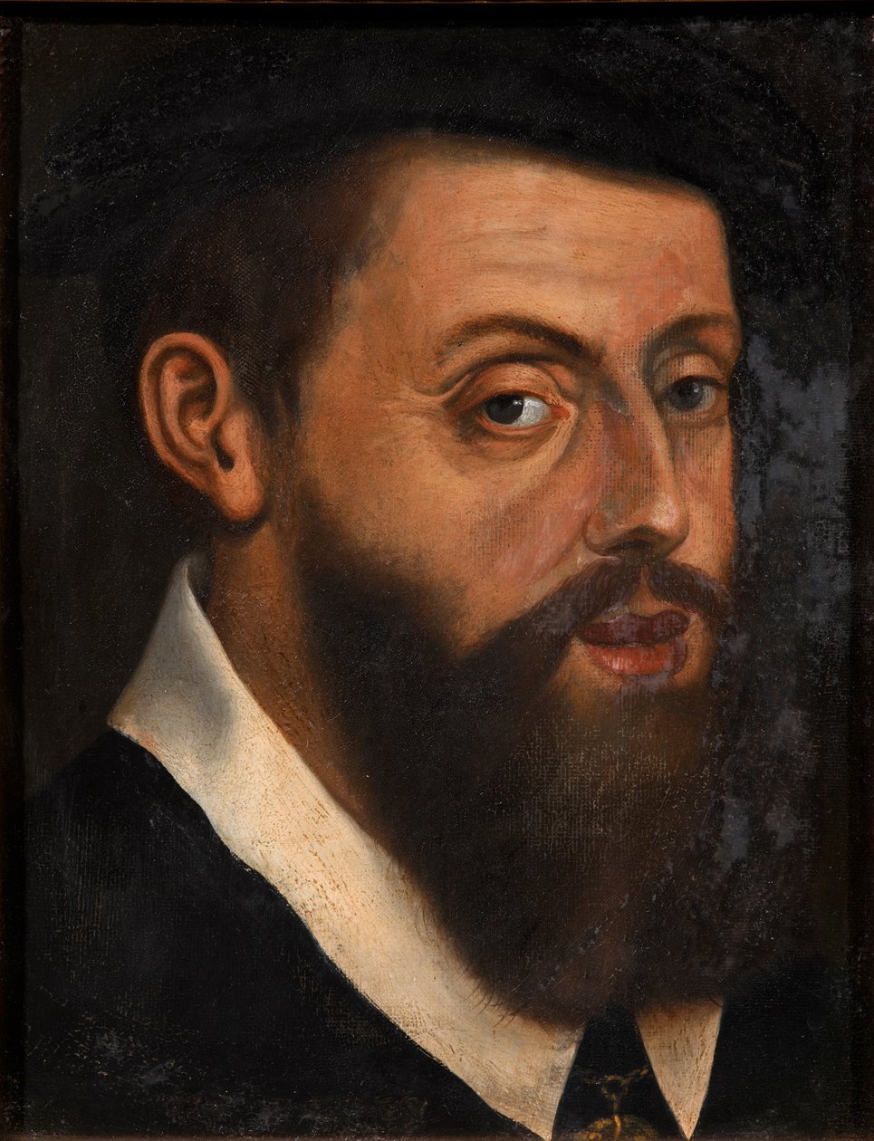 Porträtt av kejsar Karl V 1500-1558 av Jan Cornelisz. Vermeyen