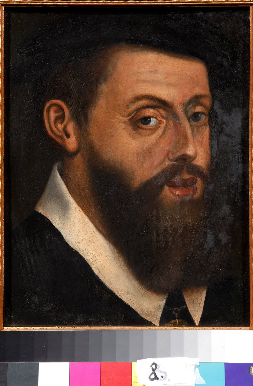 Okänd bild av Jan Cornelisz Vermeyen