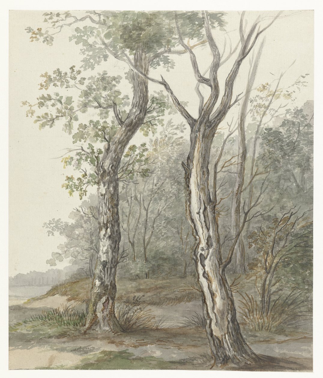 skogslandskap av Jan Dasveldt