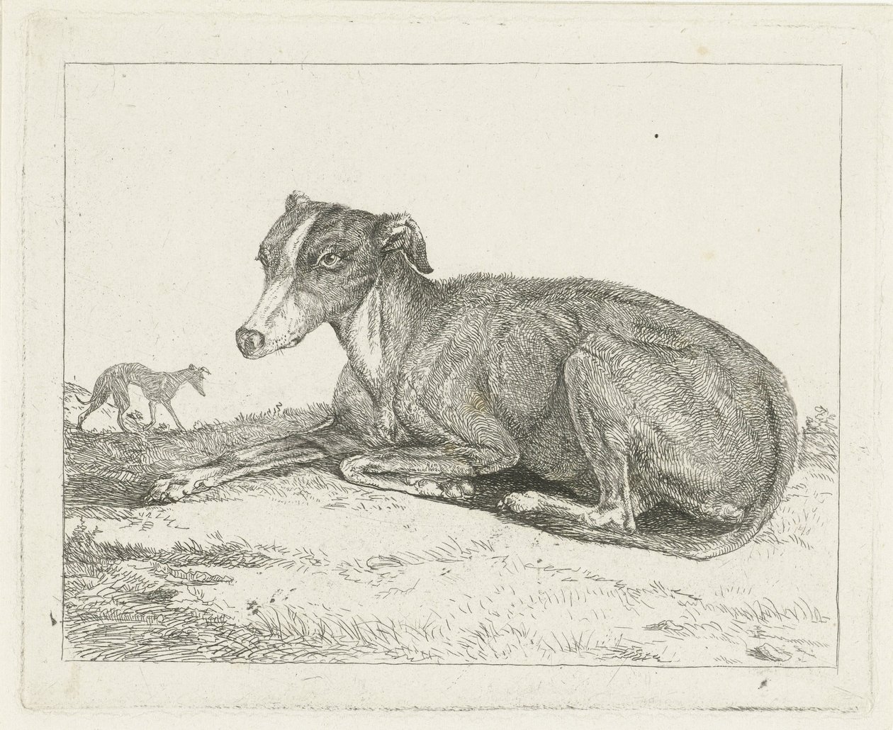 vinthundar av Jan Dasveldt