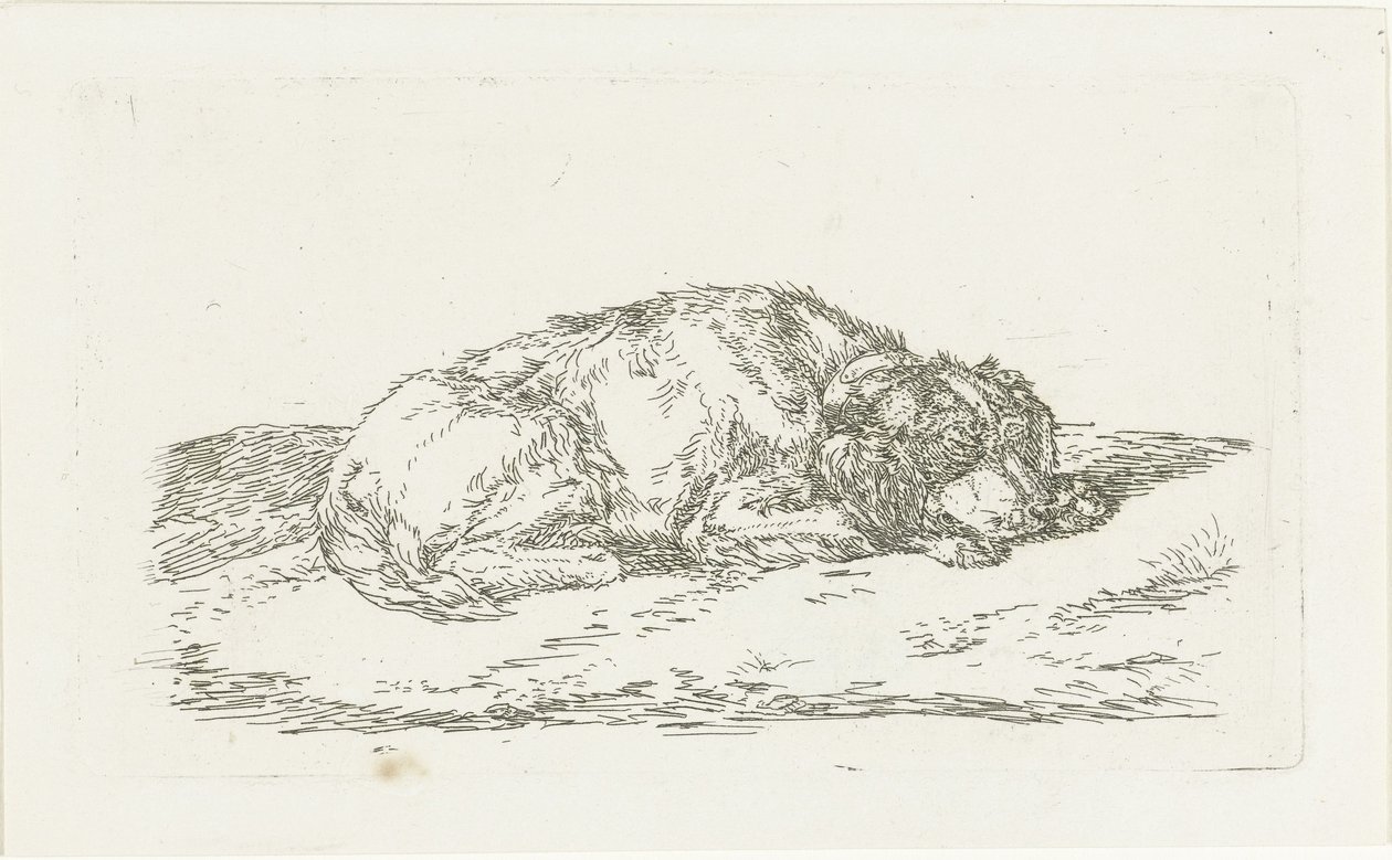 Sovande hund med huvudet vilande på frambenen av Jan Dasveldt