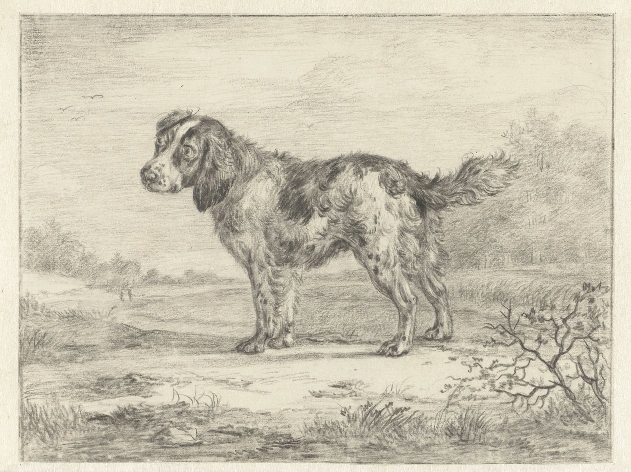 Spaniel står i ett landskap av Jan Dasveldt