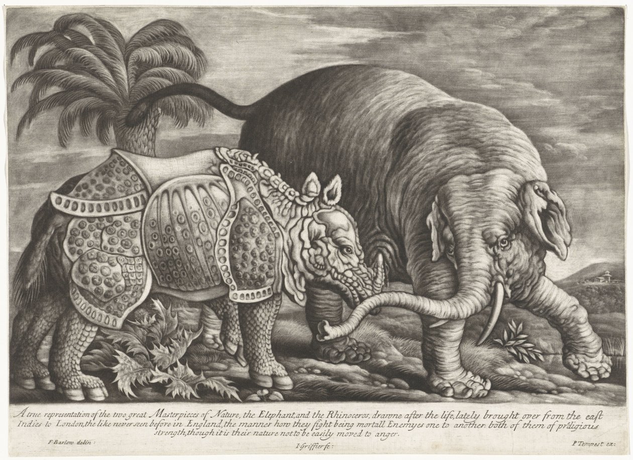 Olifant een neushoorn En sann representation av naturens två stora mästerverk, elefanten och noshörningen (titel på objektet) av Jan Griffier (I)