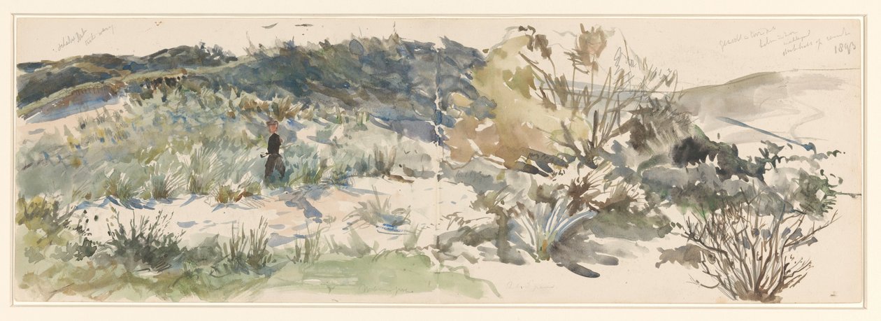 Dune landskap av Jan Hoynck van Papendrecht