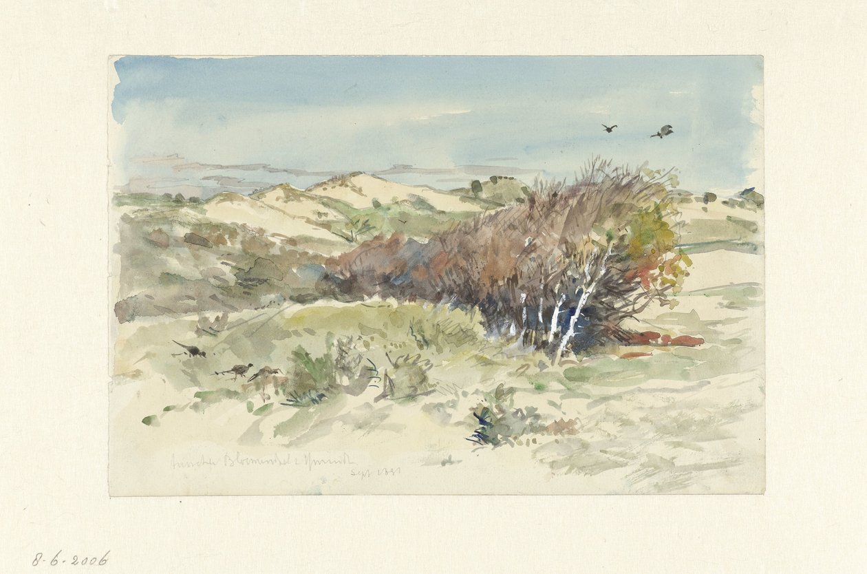 Dynlandskap mellan Bloemendaal och IJmuiden av Jan Hoynck van Papendrecht