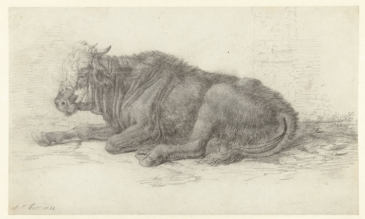 Liggande ko av Jan Joost van Cossiau
