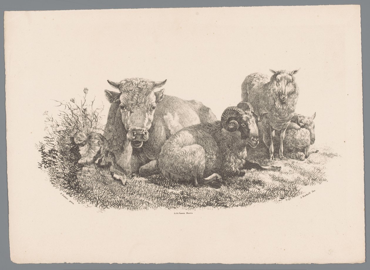 Ko, bagge och två får Beesten Studien av J. Kobell efter Paul Potter Nr. 1 (serietitel) av Jan Kobell (III)