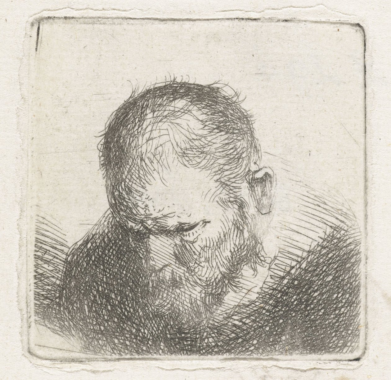 Man med skägg av Jan Lievens (possibly)