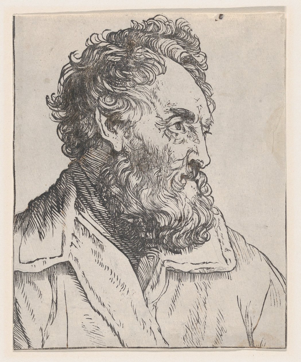 Head of a Man, 1600-talet. av Jan Lievens