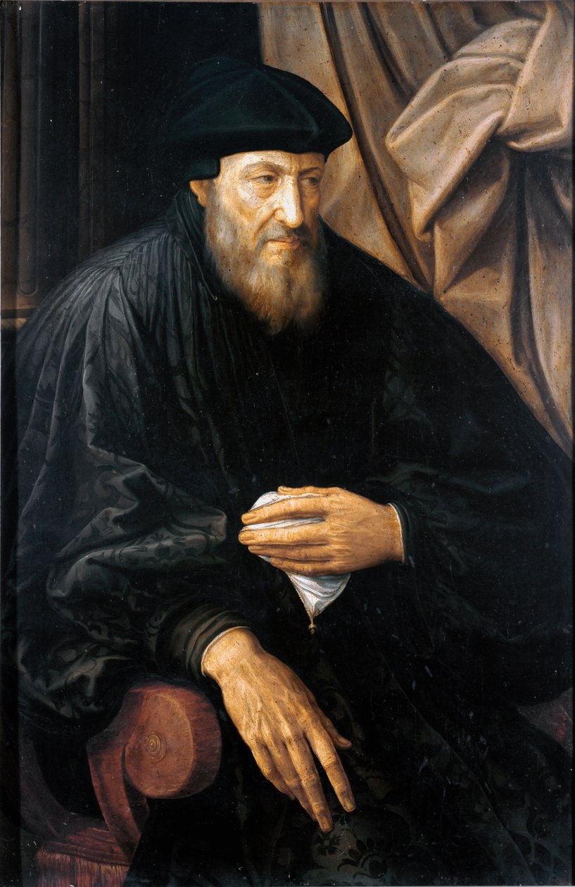 Porträtt av gammal man (troligen Andrea Doria) (Porträtt av Andrea Doria eller d