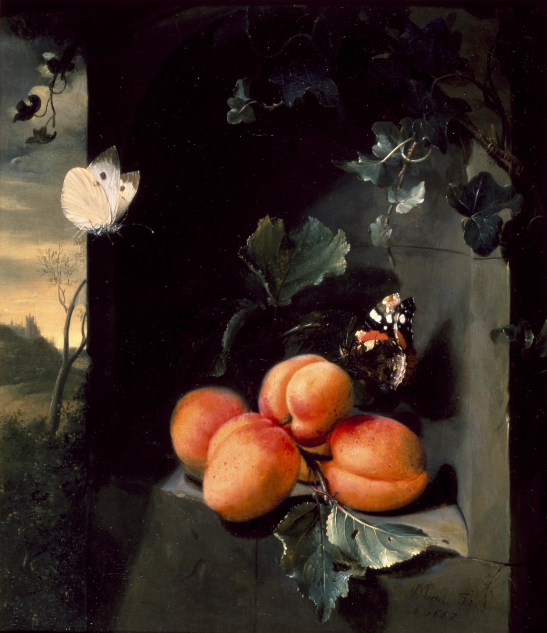Stilleben med aprikoser och fjärilar, 1683 av Jan Mortel