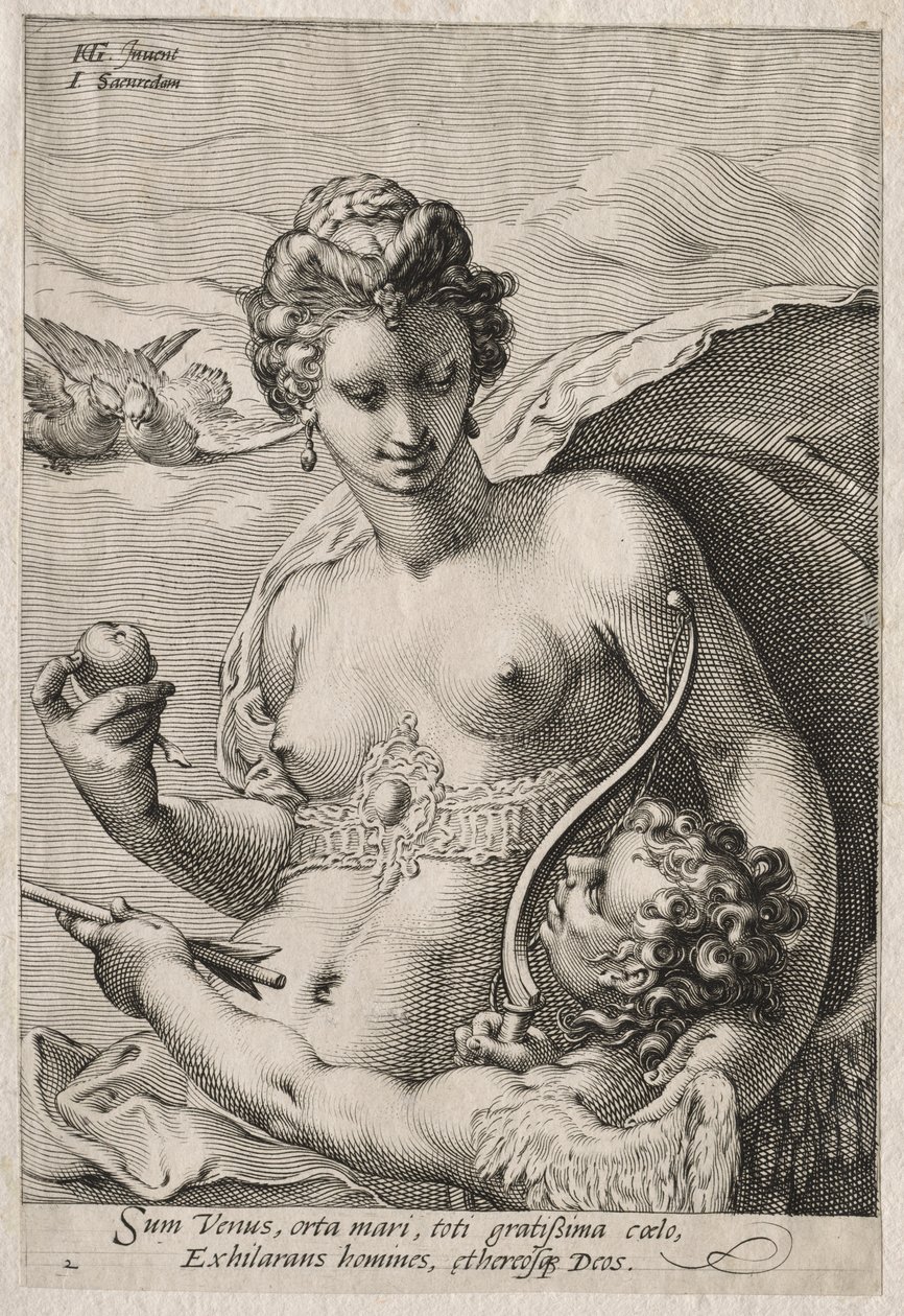 Venus och Amor av Jan Saenredam