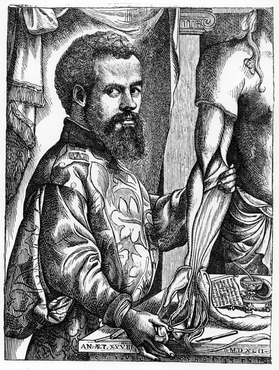 Porträtt av Andreas Vesalius (1514-64) från hans bok 