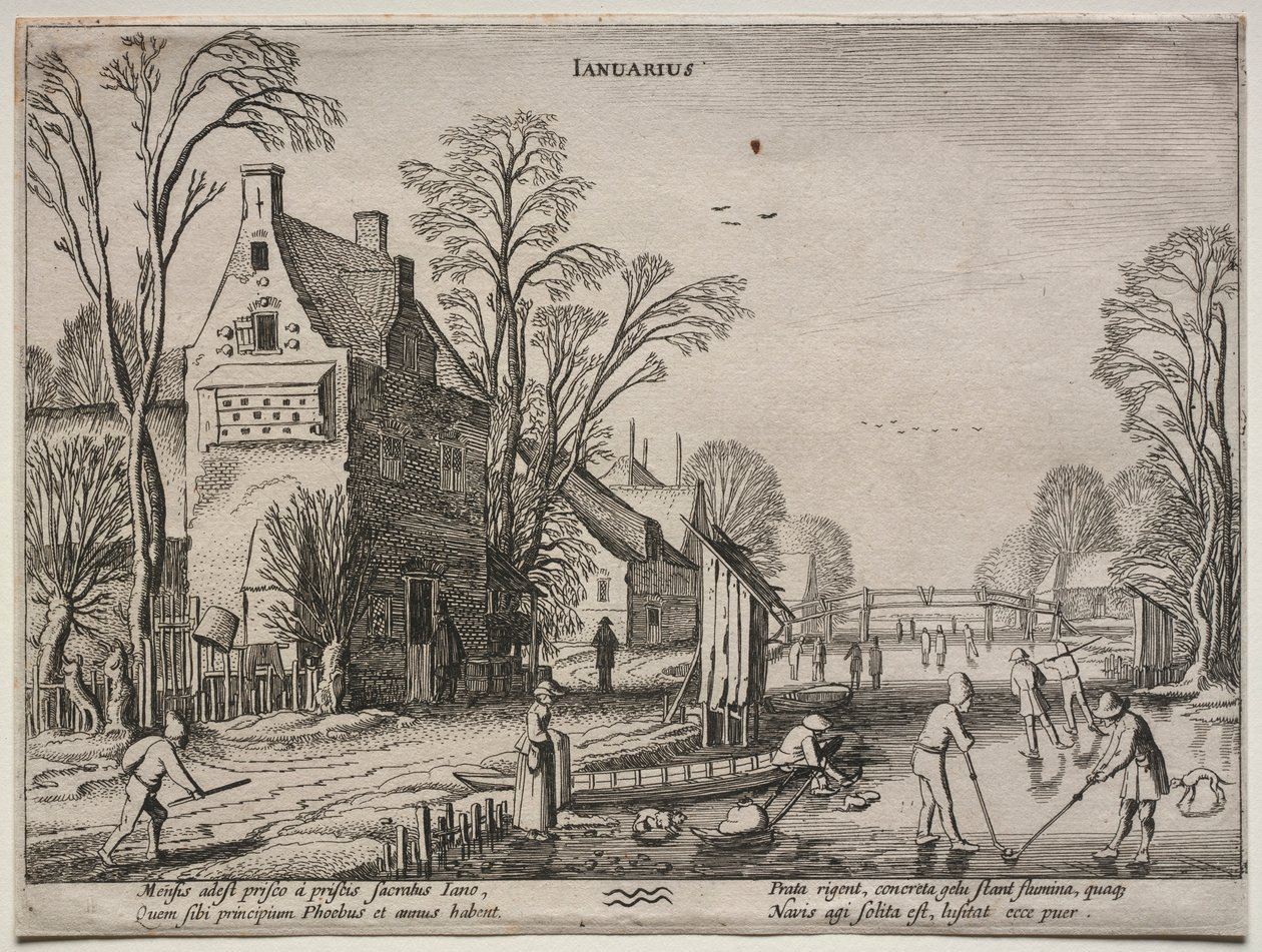 De tolv månaderna: januari. av Jan Van de Velde