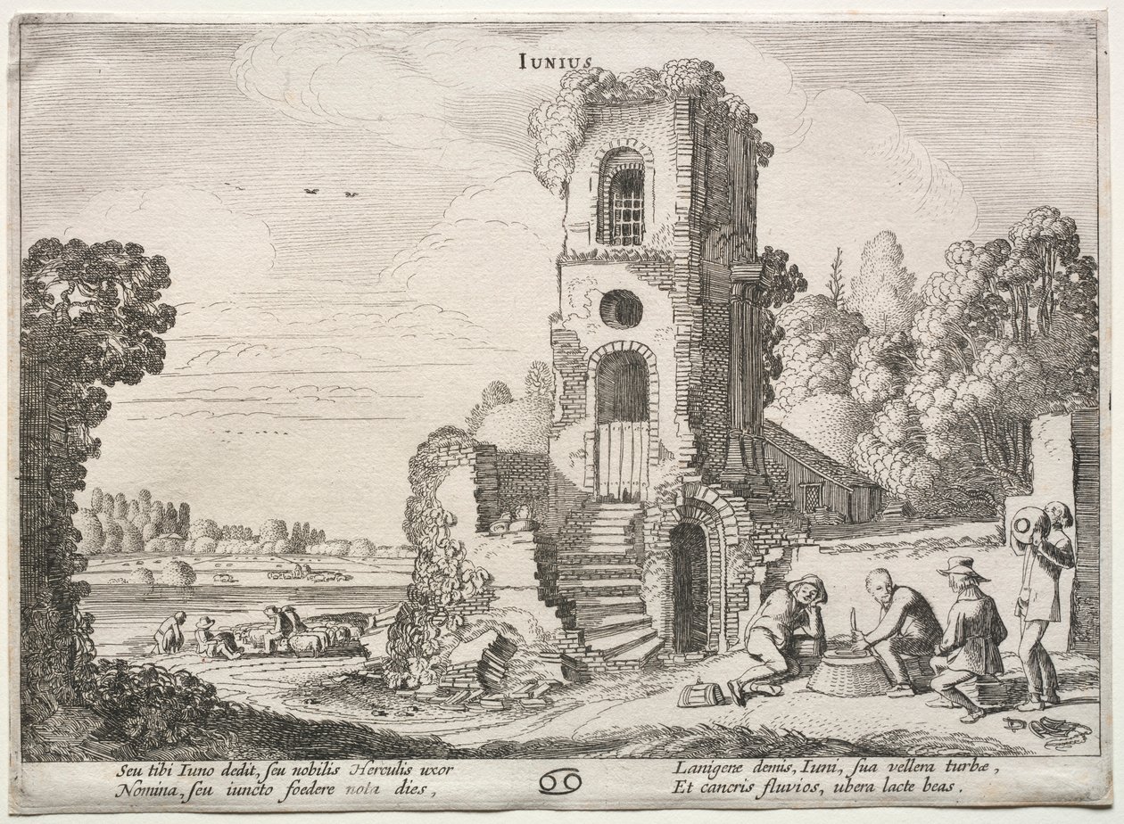 De tolv månaderna: juni. av Jan Van de Velde