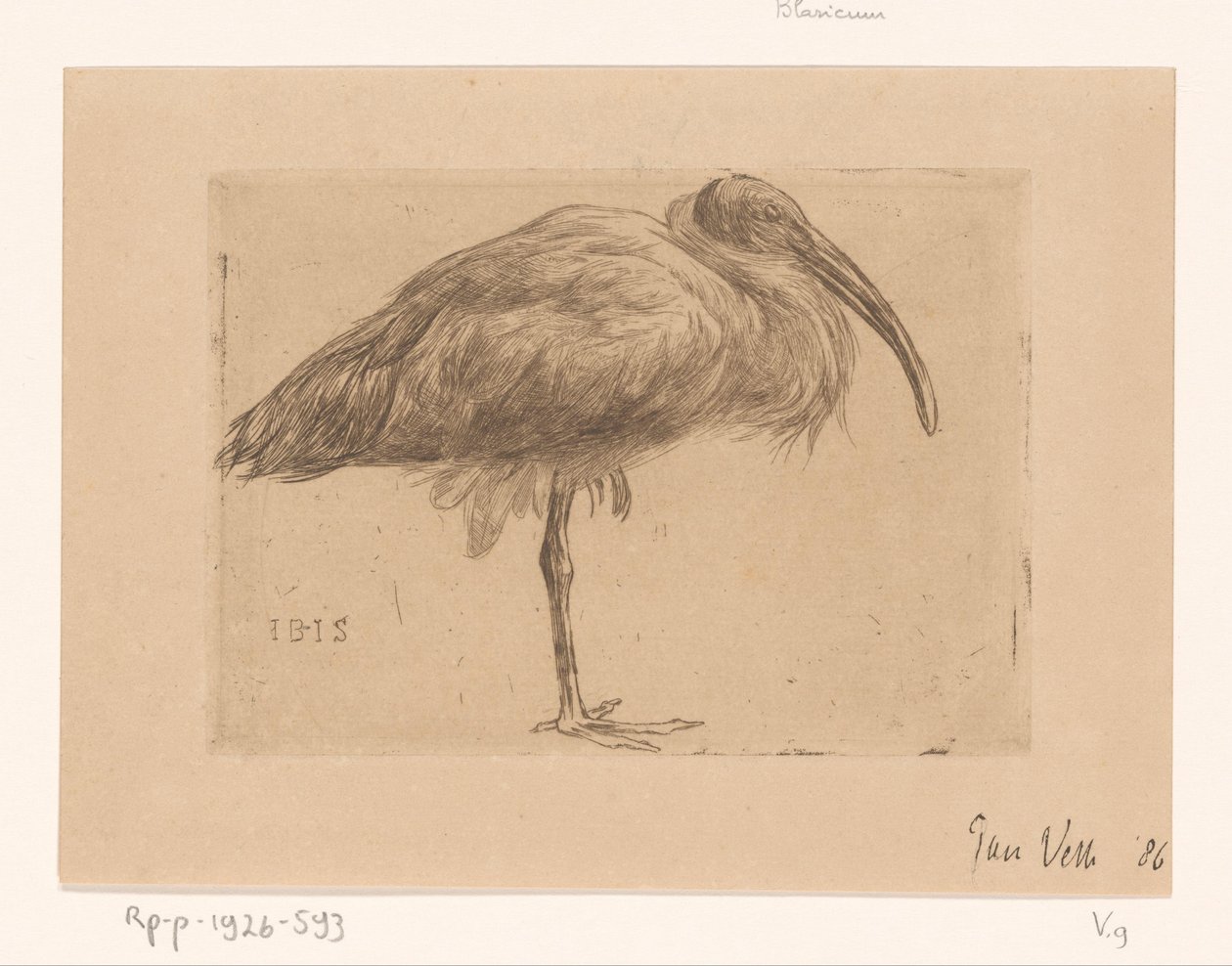 Ibis (originaltitel på objekt) av Jan Veth (signed by artist)