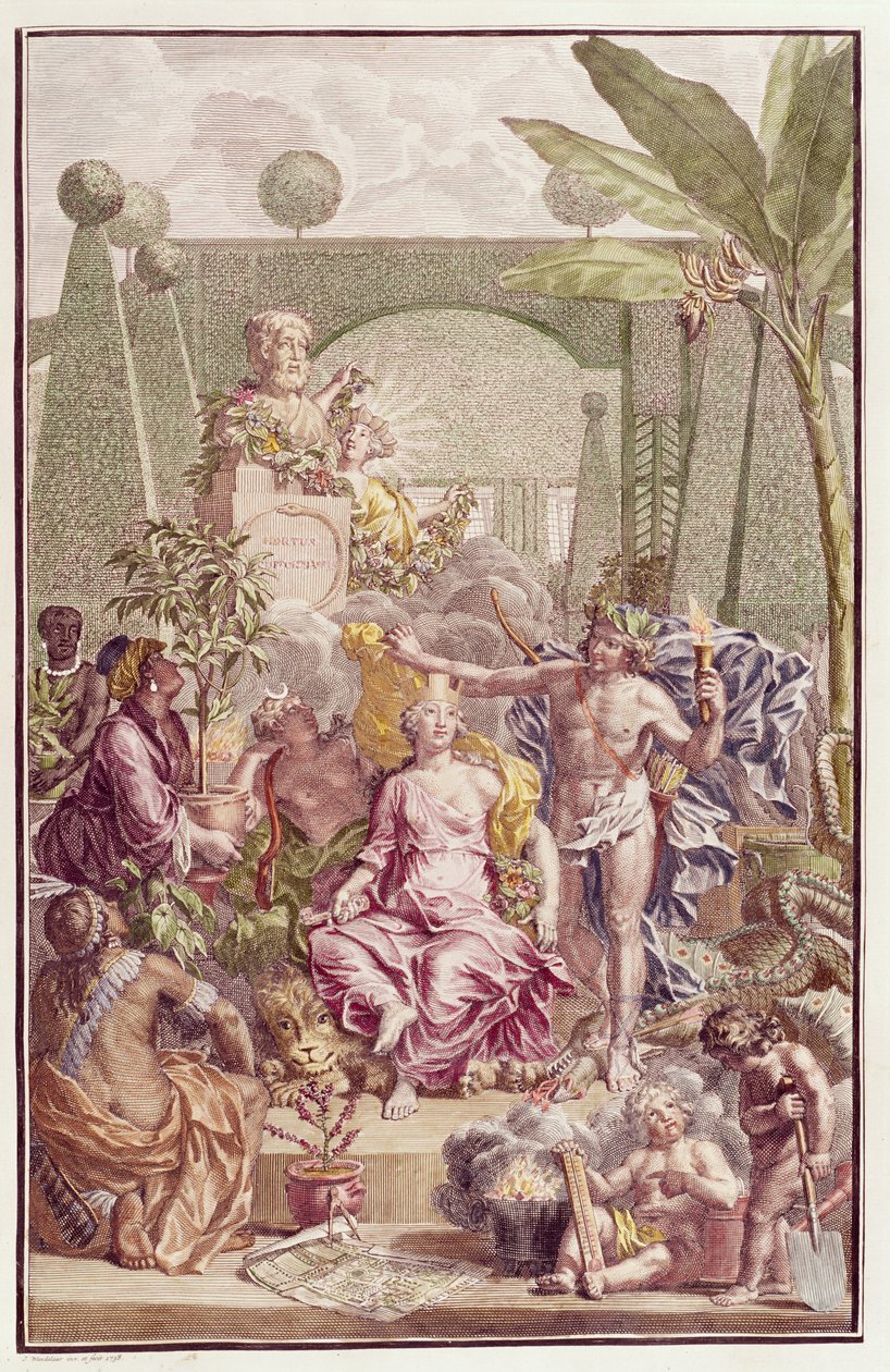 Frontispice av "Hortus Cliffortianus" av Carl Linnaeus (1707-78) av Jan Wandelaar