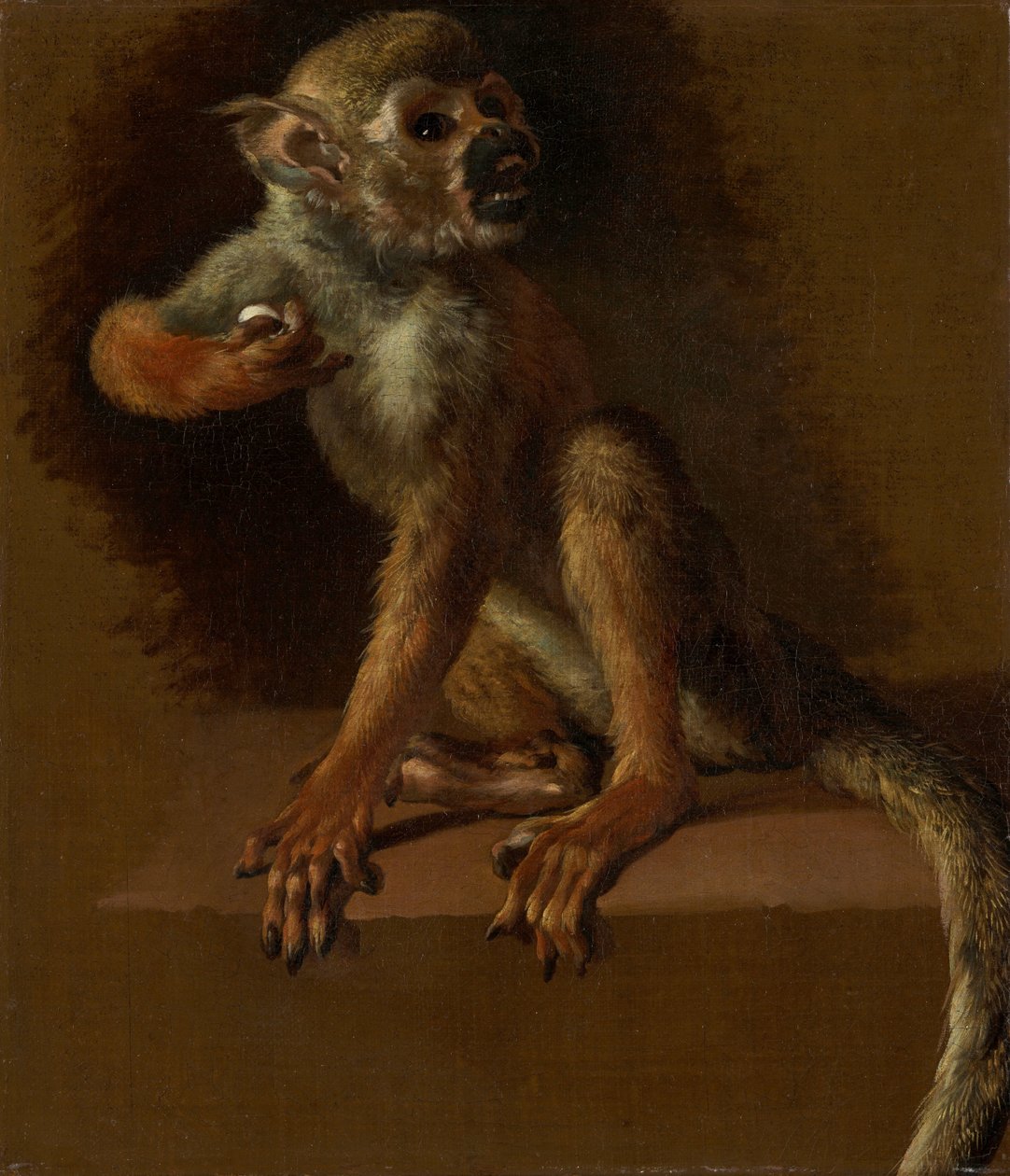 En sittande apa av Jan Baptist Weenix