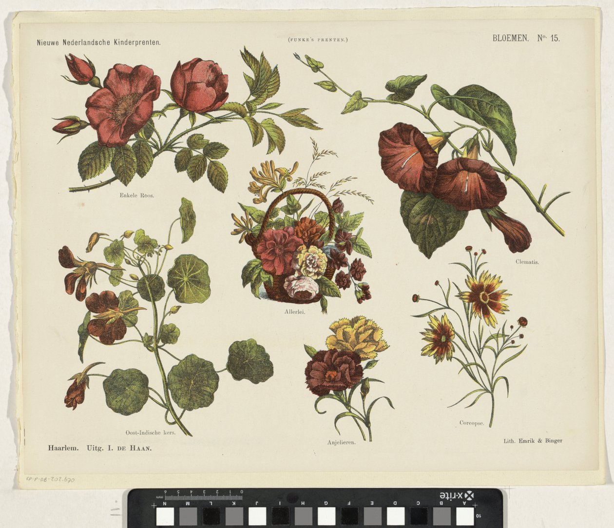 Blommor (titel på objekt) Nya holländska barntryck (serietitel på objekt) Funkes tryck (serietitel på objekt) av Jan de Haan