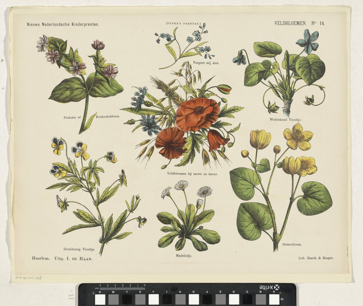 Wildflowers (titel på objekt) Nya holländska barntryck (serietitel på objekt) Funkes tryck (serietitel på objekt) av Jan de Haan