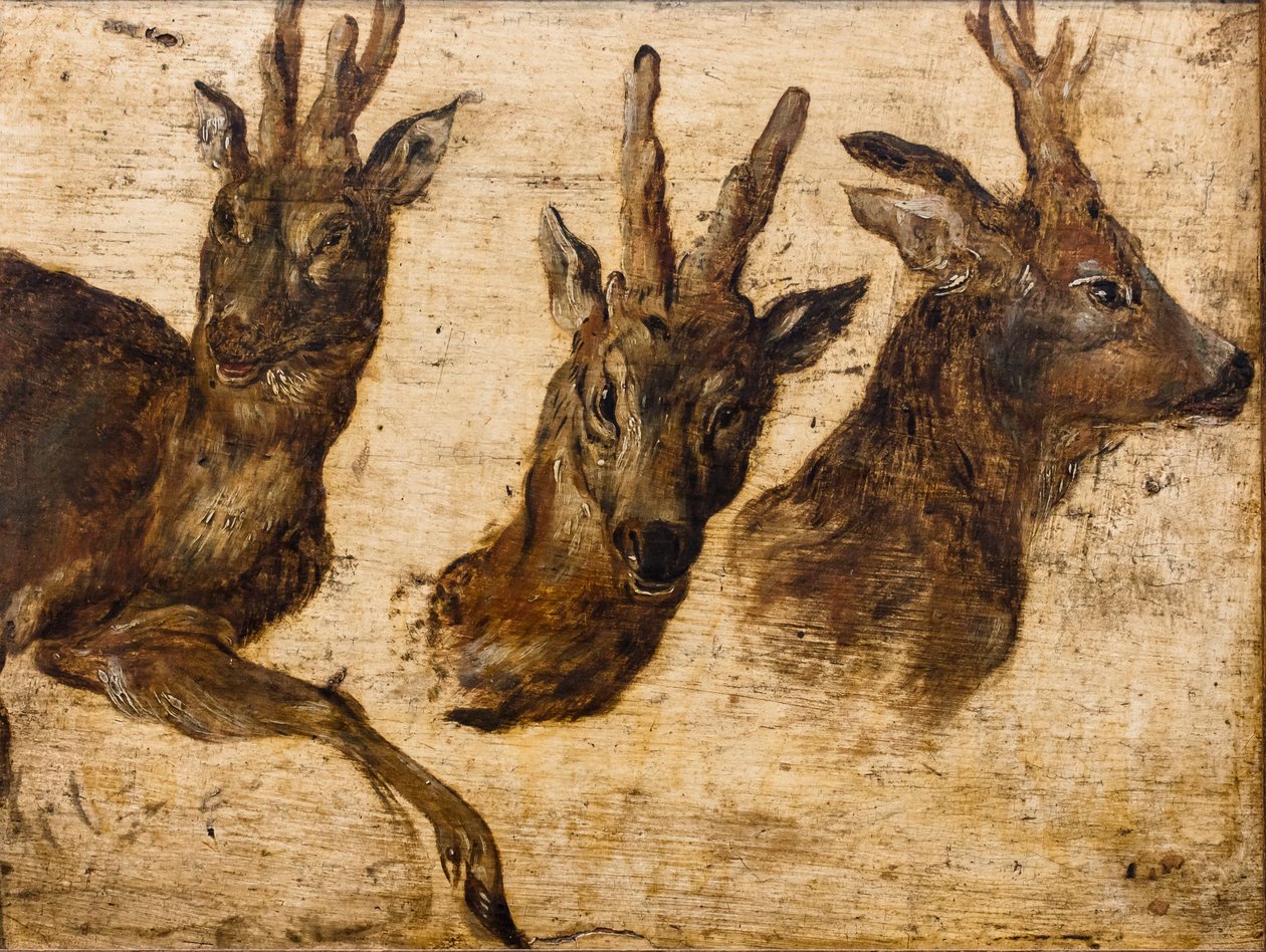 Brocades huvud (olja på duk) av Jan the Elder Brueghel