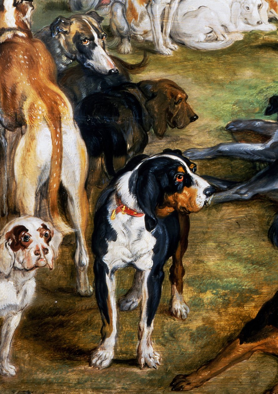 Hundar, detalj från Diana och Nymphs på väg att lämna av Jan the Elder Brueghel