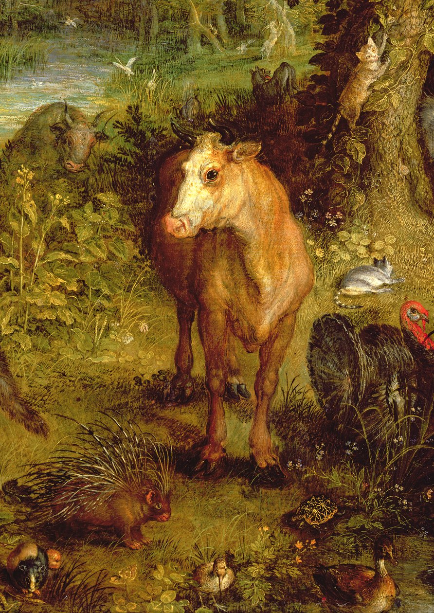 Earth or The Earthly Paradise, detalj av en ko, piggsvin och andra djur, 1607-08 olja på koppar detalj av 93899 av Jan the Elder Brueghel