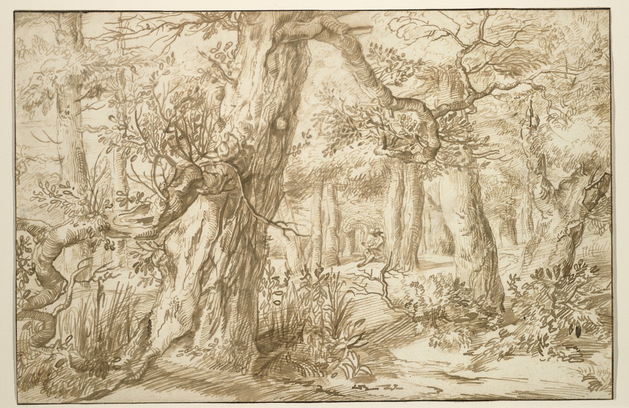 Skogsinteriör med ritare, ca 1664 (brunt bläck på antikt papper) av Jan the Elder Lievens