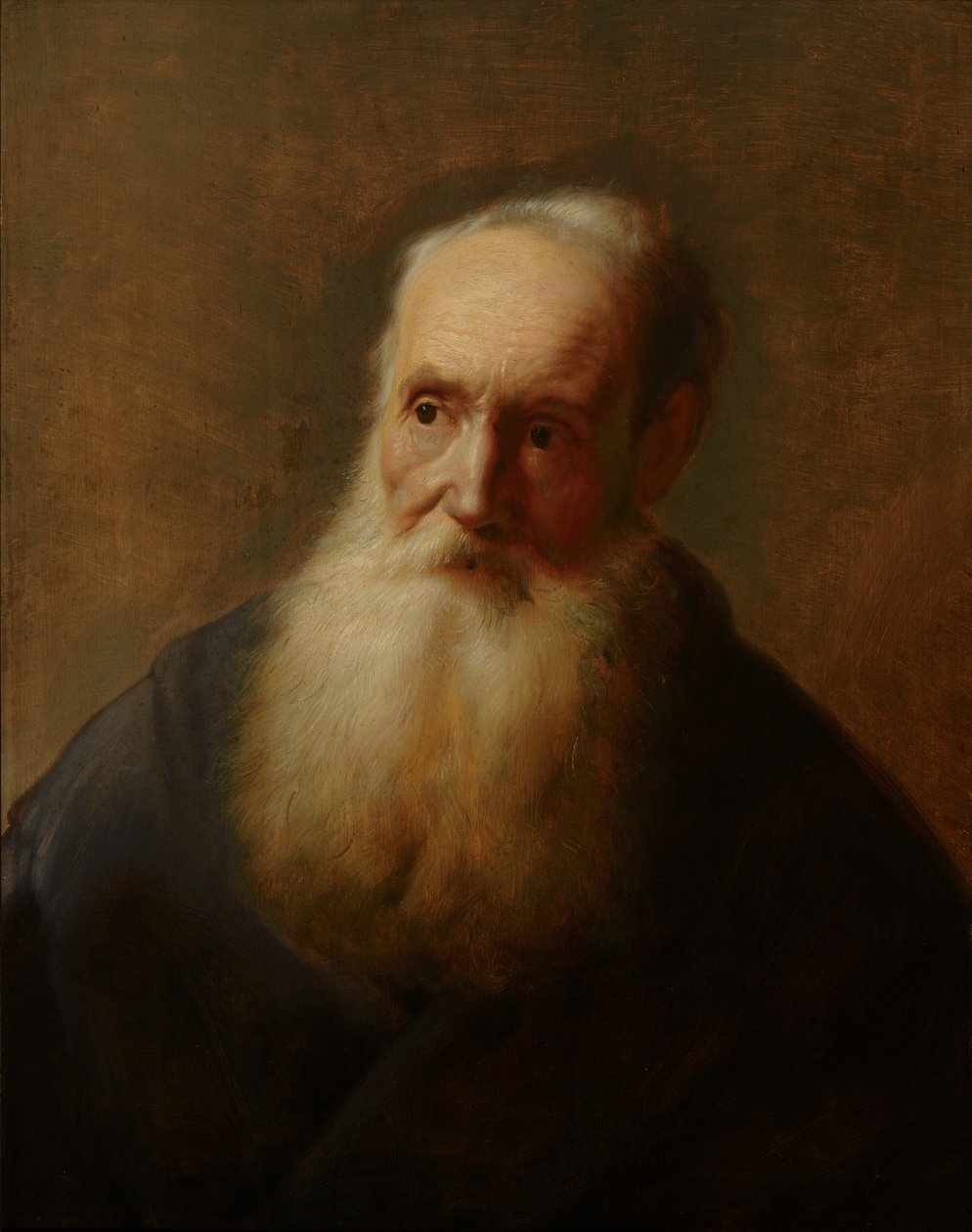 Tronie av en gammal man av Jan the Elder after Lievens