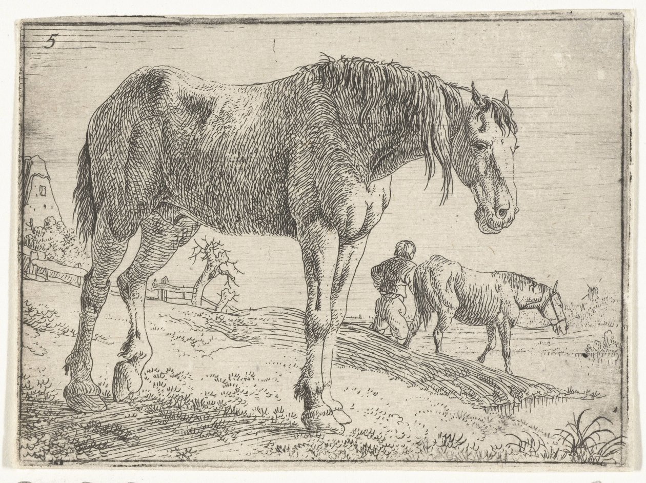 stående häst Landskap med hästar (serietitel) av Jan van Aken
