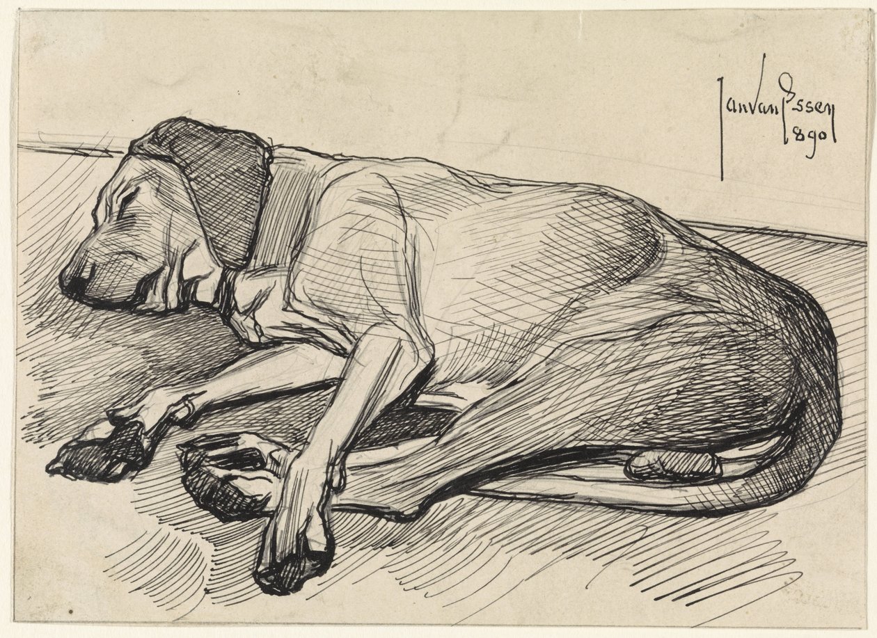 Sovande hund, till vänster av Jan van Essen