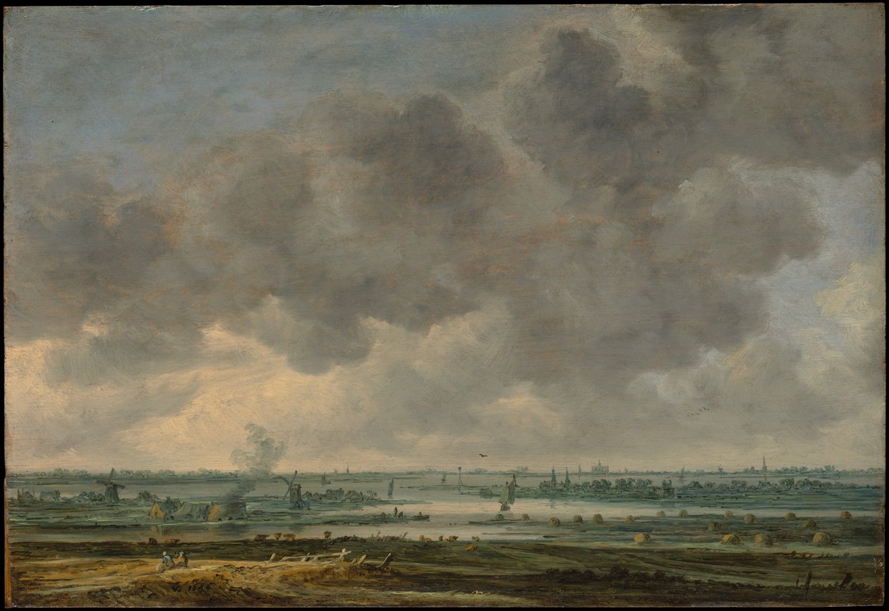 Utsikt över Haarlem och Haarlemmer Meer av Jan van Goyen