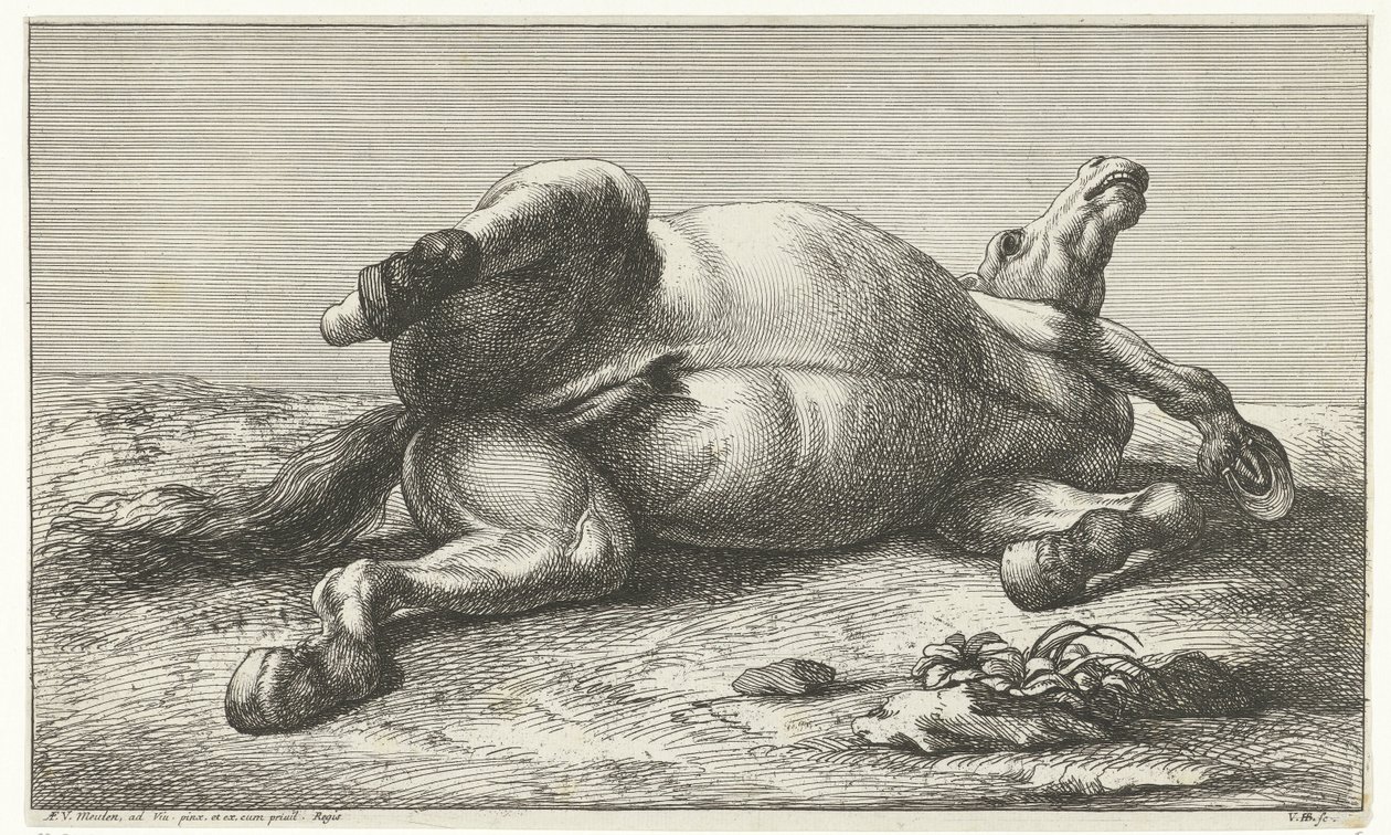 Död häst som ligger på sin vänstra sida Dead Horses (serietitel) av Jan van Huchtenburg