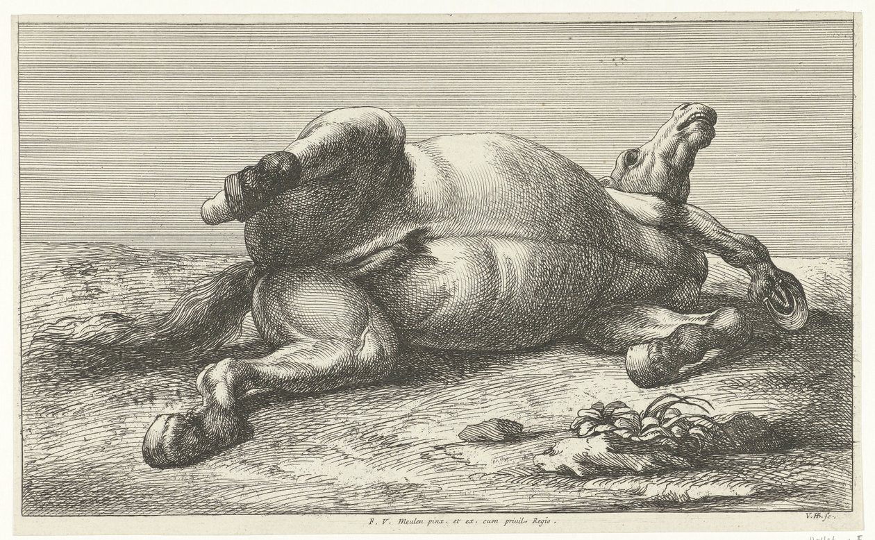 Död häst som ligger på sin vänstra sida Dead Horses (serietitel) av Jan van Huchtenburg