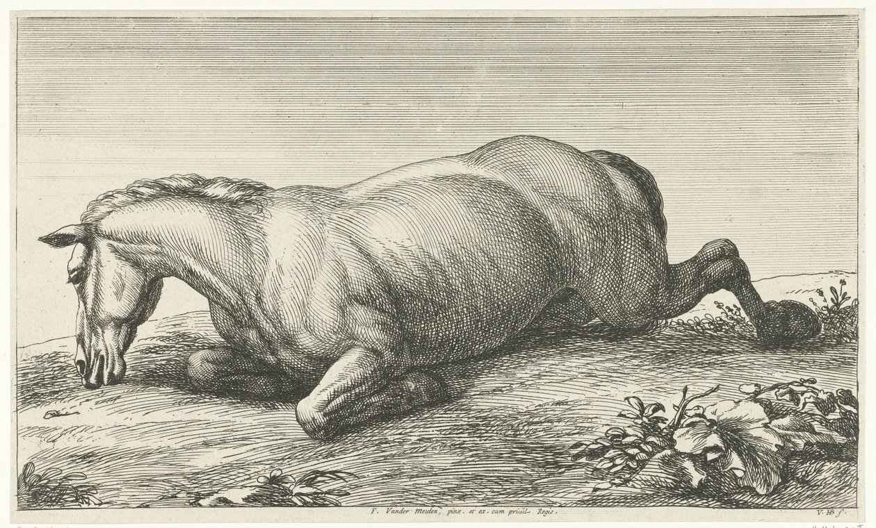 Död häst som ligger på magen Dead Horses (serietitel) av Jan van Huchtenburg