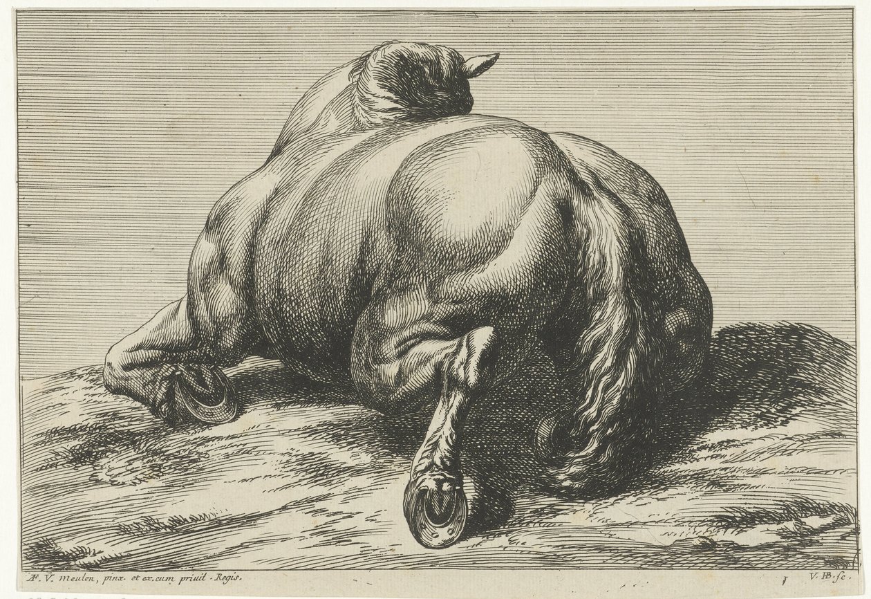 Fallen häst på magen sedd bakifrån Dead Horses (serietitel) av Jan van Huchtenburg