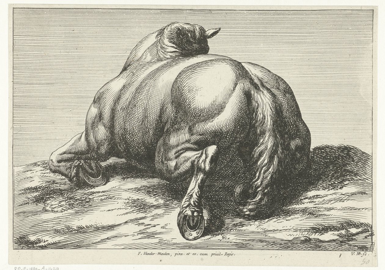 Fallen häst på magen sedd bakifrån Fallen Horses (serietitel) av Jan van Huchtenburg