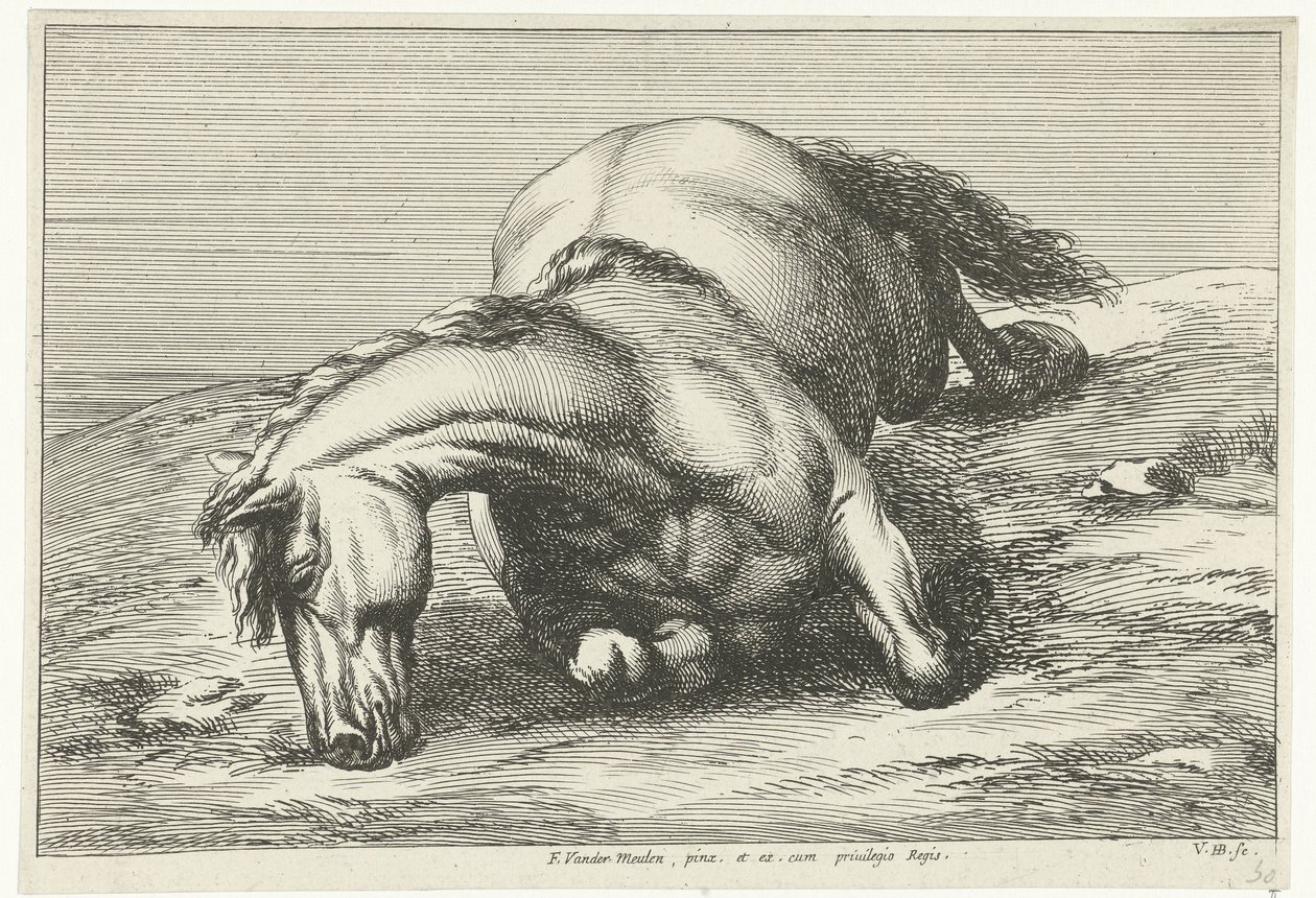 Fallen häst liggande på sin högra sida Fallen Horses (serietitel) av Jan van Huchtenburg
