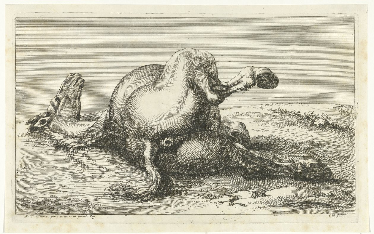 Fallen häst sedd bakifrån Fallen Horses (serietitel) av Jan van Huchtenburg