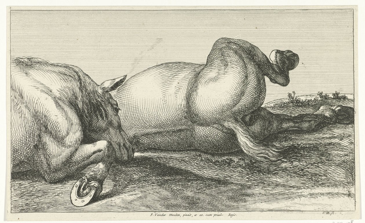 Två döda hästar liggande i rad Dead Horses (serietitel) av Jan van Huchtenburg