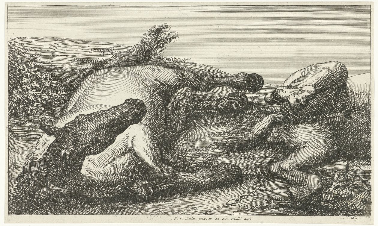 Två fallna hästar, den vänstra sedd framifrån Fallen Horses (serietitel) av Jan van Huchtenburg